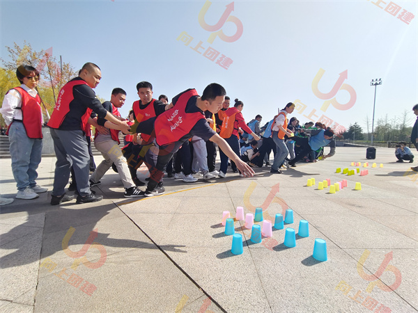 淄博团建活动公司推荐